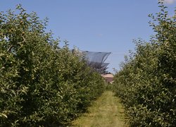 Щорічний традиційний огляд дослідів кафедр